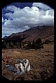 02400-00115-Colorado Scenes.jpg