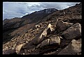 02400-00189-Colorado Scenes-Pikes Peak Highway scene.jpg