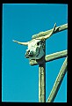 02400-00262-Colorado Scenes.jpg