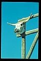 02400-00263-Colorado Scenes.jpg