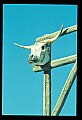 02400-00264-Colorado Scenes.jpg