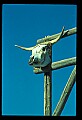 02400-00265-Colorado Scenes.jpg