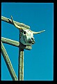 02400-00266-Colorado Scenes.jpg