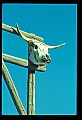 02400-00267-Colorado Scenes.jpg