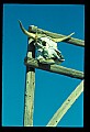 02400-00268-Colorado Scenes.jpg