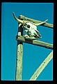 02400-00269-Colorado Scenes.jpg