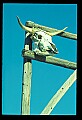 02400-00270-Colorado Scenes.jpg