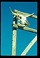 02400-00271-Colorado Scenes.jpg