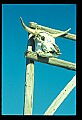 02400-00272-Colorado Scenes.jpg