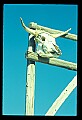 02400-00273-Colorado Scenes.jpg