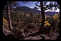 02400-00367-Colorado Scenes-Wilkerson Pass on Route 24.jpg