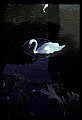 90100-00034-Denmark and Sweden.jpg