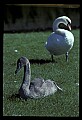 90100-00036-Denmark and Sweden.jpg
