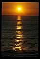 02500-00001-Florida Scenes.jpg