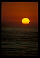 02500-00003-Florida Scenes.jpg