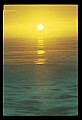 02500-00005-Florida Scenes.jpg