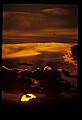 02500-00007-Florida Scenes.jpg