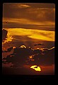 02500-00008-Florida Scenes.jpg