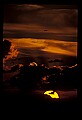 02500-00009-Florida Scenes.jpg