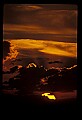 02500-00010-Florida Scenes.jpg