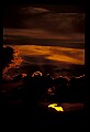 02500-00011-Florida Scenes.jpg