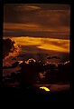 02500-00012-Florida Scenes.jpg