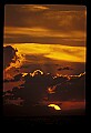 02500-00013-Florida Scenes.jpg