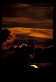 02500-00014-Florida Scenes.jpg