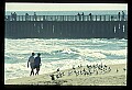 02500-00017-Florida Scenes.jpg