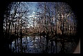 02500-00018-Florida Scenes.jpg