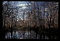 02500-00019-Florida Scenes.jpg