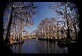 02500-00020-Florida Scenes.jpg