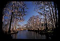 02500-00021-Florida Scenes.jpg