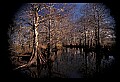 02500-00022-Florida Scenes.jpg