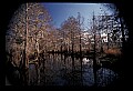 02500-00023-Florida Scenes.jpg