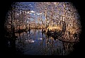 02500-00024-Florida Scenes.jpg