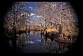 02500-00025-Florida Scenes.jpg