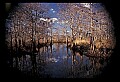 02500-00026-Florida Scenes.jpg