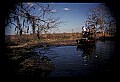 02500-00027-Florida Scenes.jpg