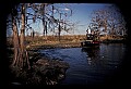 02500-00028-Florida Scenes.jpg