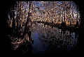 02500-00029-Florida Scenes.jpg
