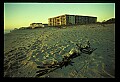 02500-00031-Florida Scenes.jpg