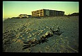 02500-00032-Florida Scenes.jpg