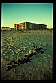 02500-00033-Florida Scenes.jpg