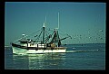 02500-00035-Florida Scenes.jpg