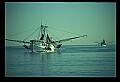 02500-00036-Florida Scenes.jpg