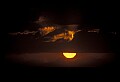02500-00043-Florida Scenes.jpg