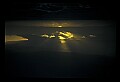 02500-00046-Florida Scenes.jpg