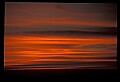 02500-00058-Florida Scenes.jpg