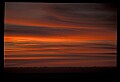 02500-00059-Florida Scenes.jpg